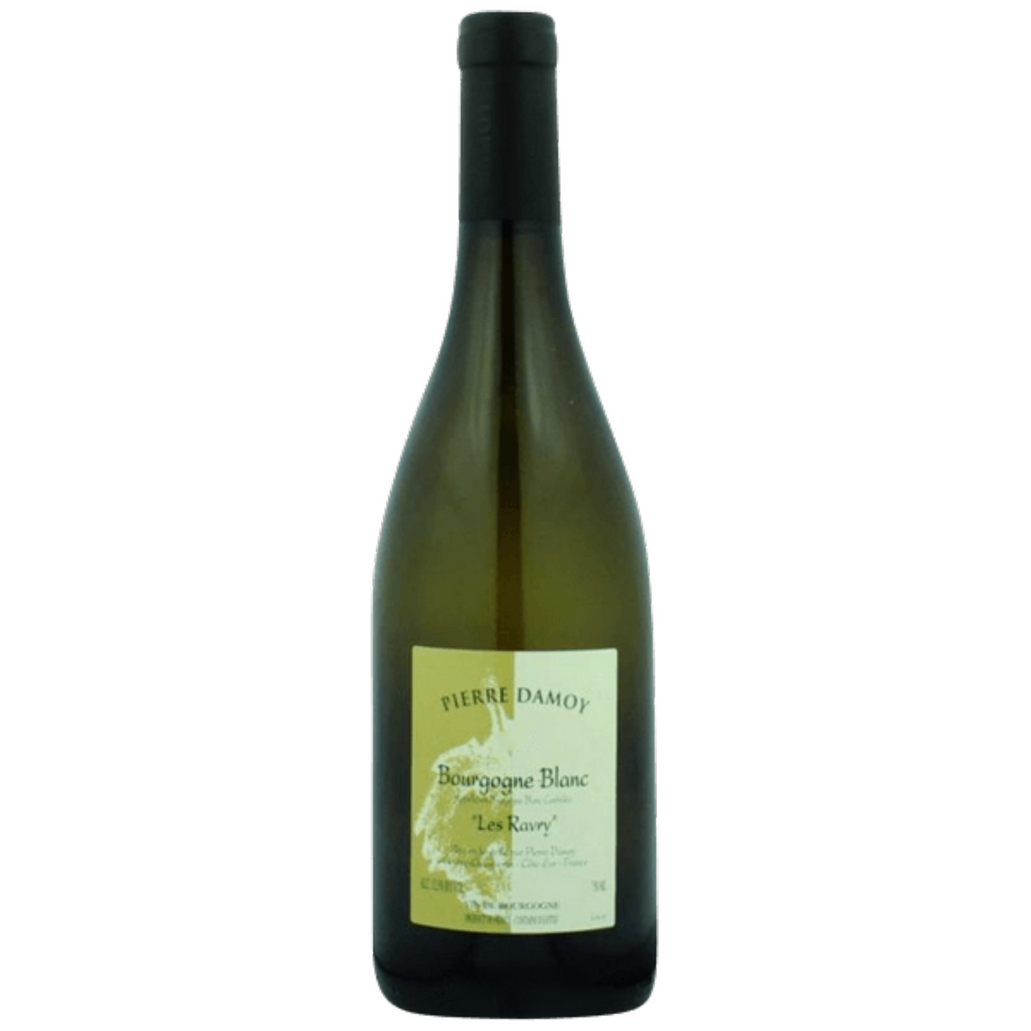Domaine Pierre Damoy Bourgogne Blanc “Les Ravry” 2015