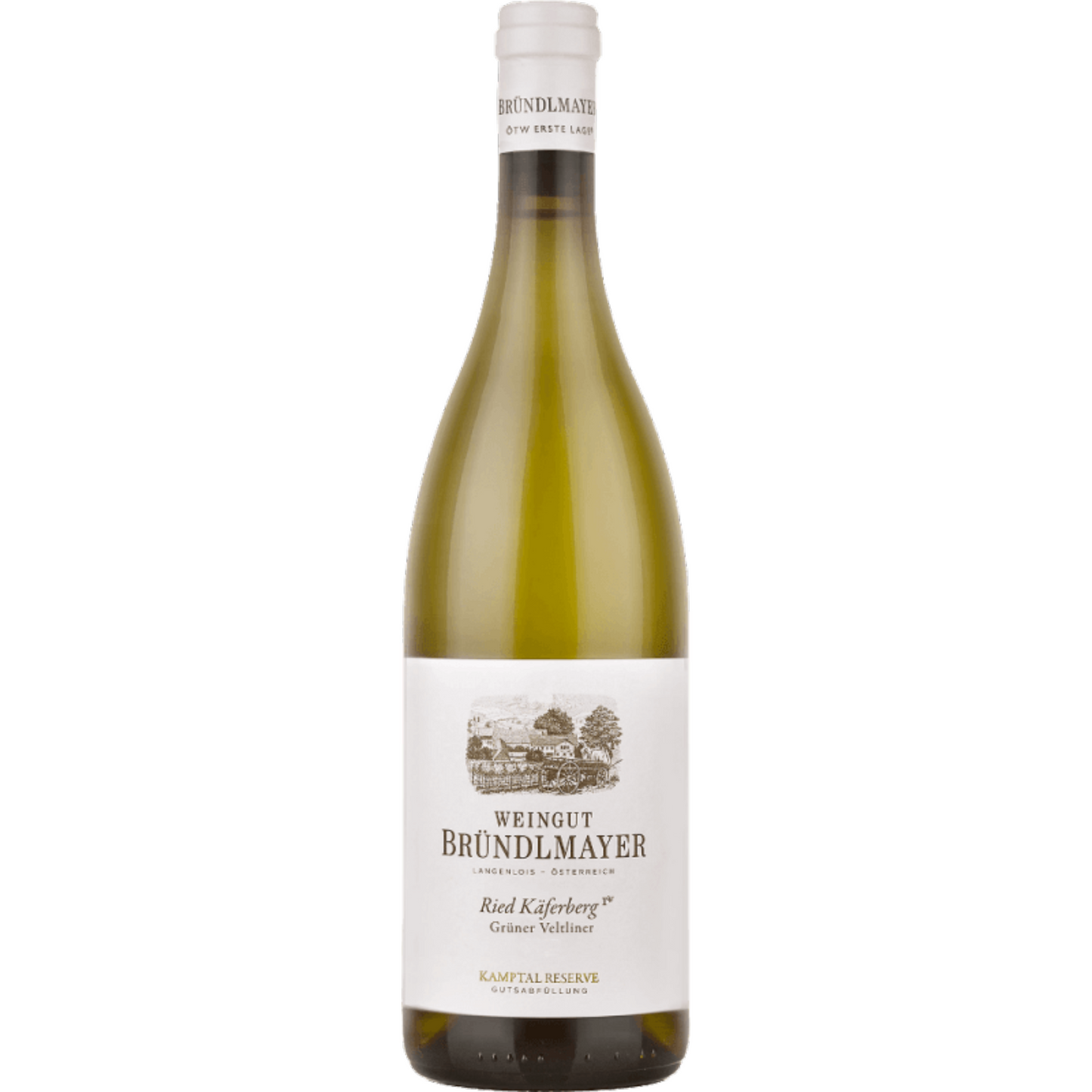 Weingut Bründlmayer Grüner Veltliner Ried Käferberg Kamptal Reserve 2018 1.5L
