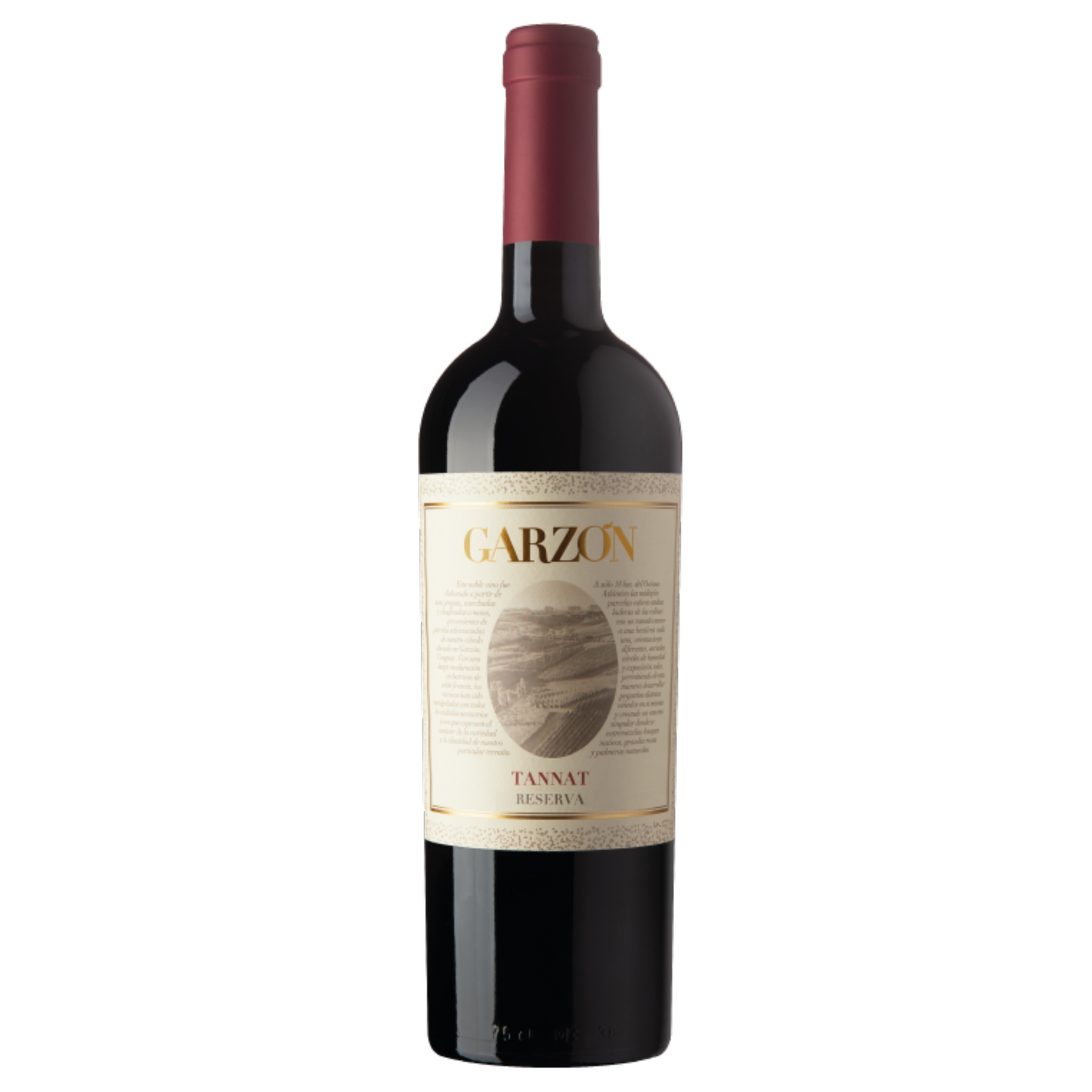 Bodega Garzón Reserva Tannat 2023
