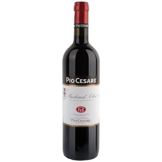 Pio Cesare Barbera d’Alba DOC 2022